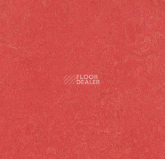 Линолеум Forbo Marmoleum Decibel on Order 326335 rose фото 1 | FLOORDEALER